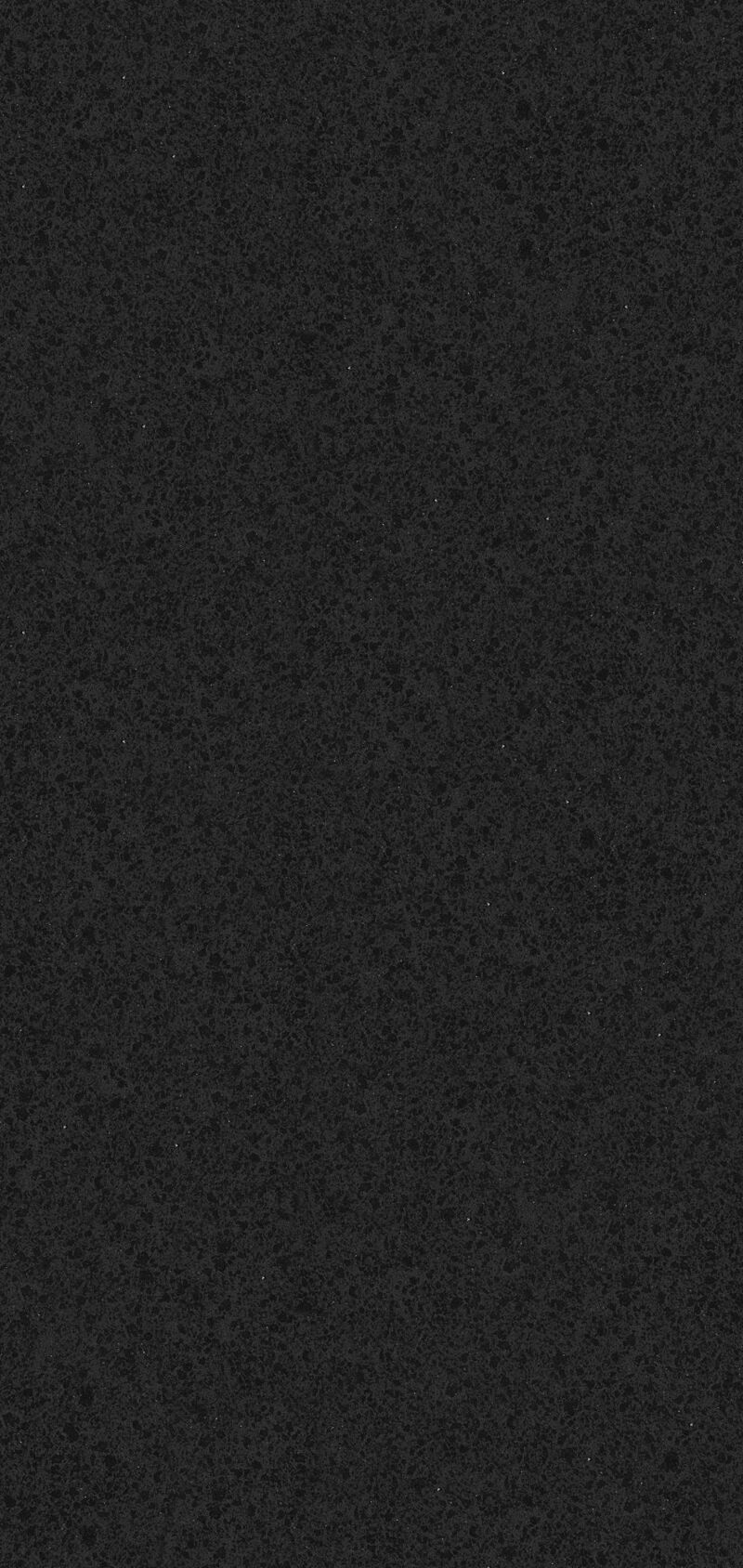 MD62P46-福鼎黑-全拋