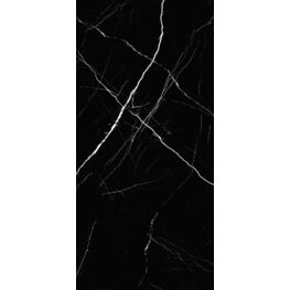 MD62P45-黑白根-全拋